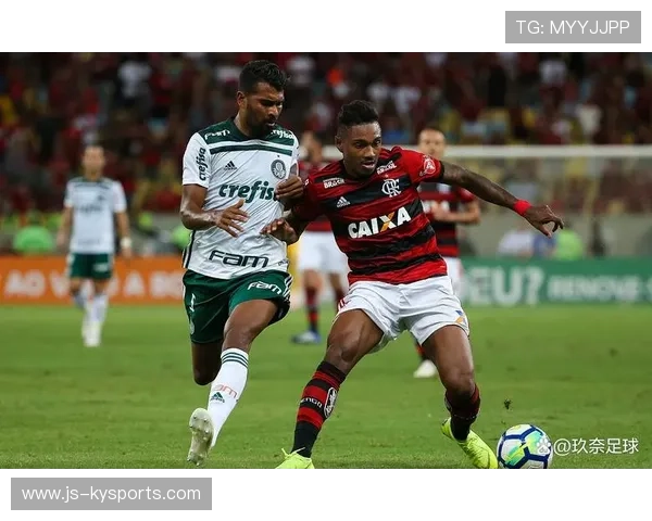 弗拉门戈攻防转换效率提升，弗拉门戈ds